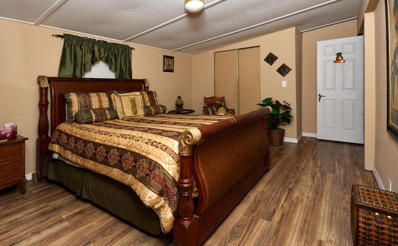 הומוססה Room In Bb - Pleasant Days Bb Tropical Master Suite מראה חיצוני תמונה